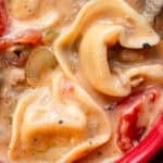 a very closeup shot of creamy tortellini soup