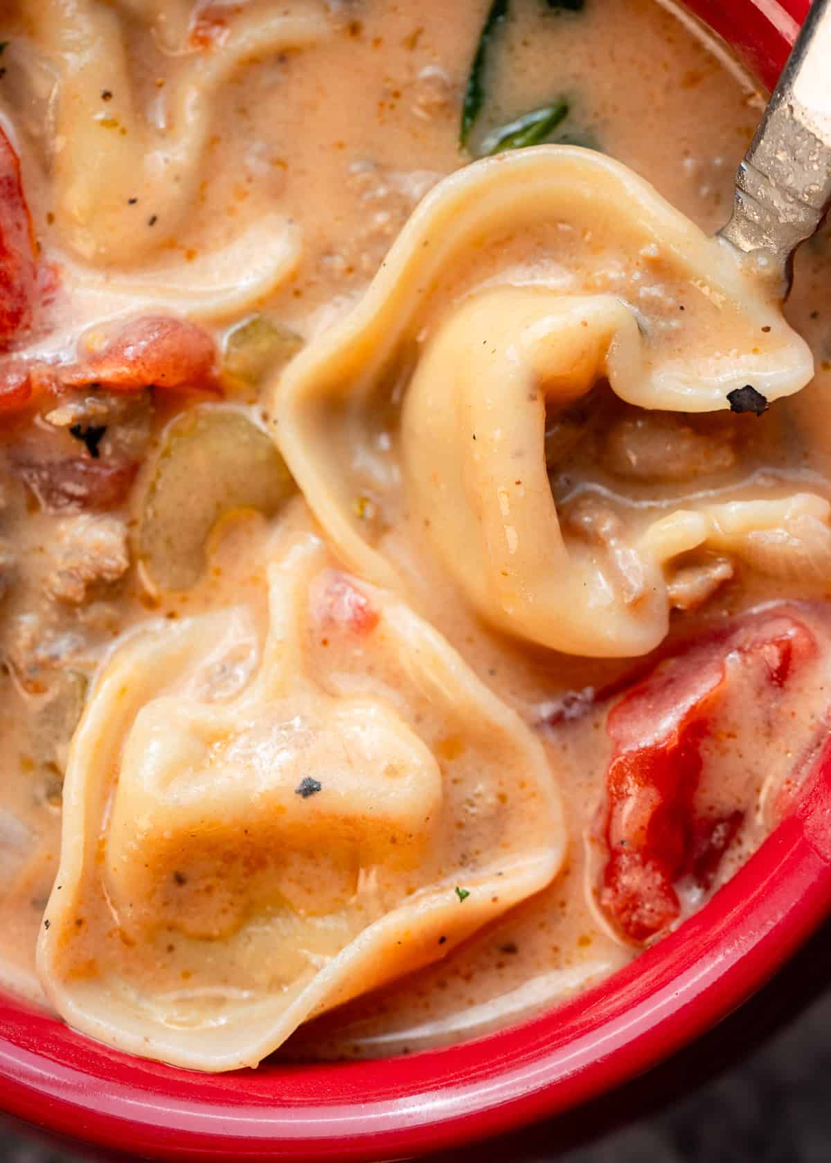 a very closeup shot of creamy tortellini soup