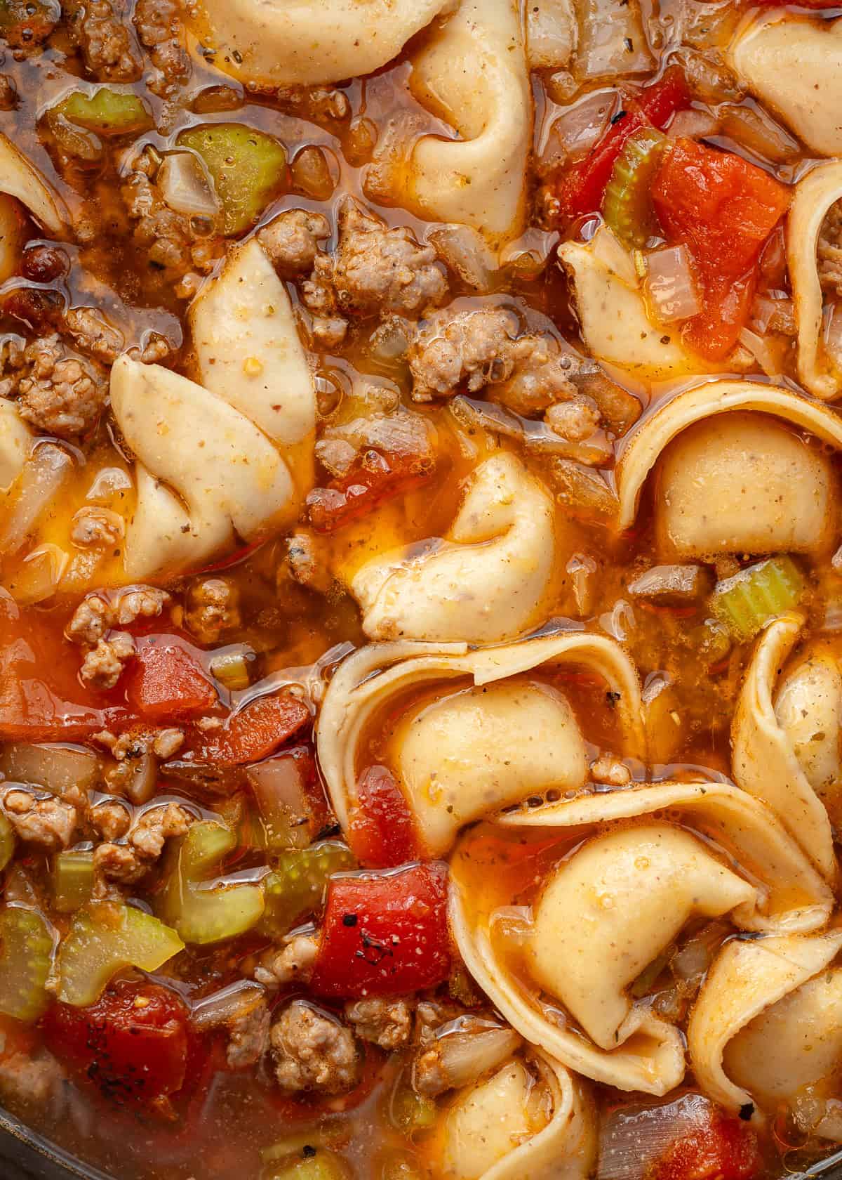 closeup of sausage tortellini soup