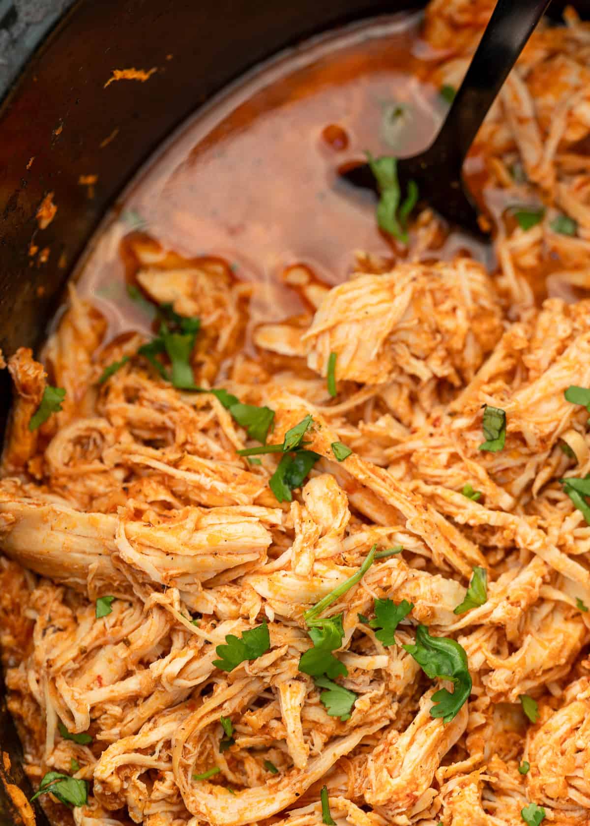 shredded slow cooker chicken tinga