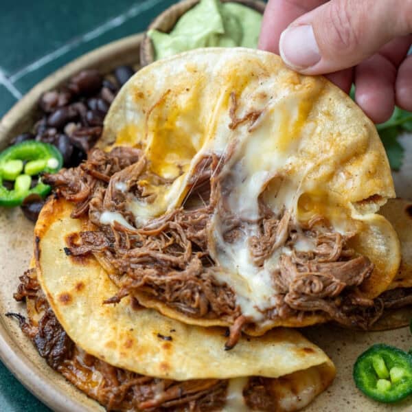 a closeup shot of a shredded beef tacos on a brown plate