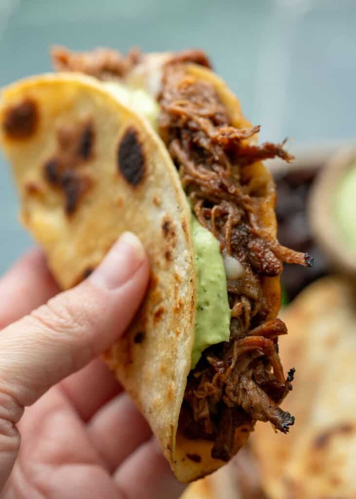close up shot holding a taco